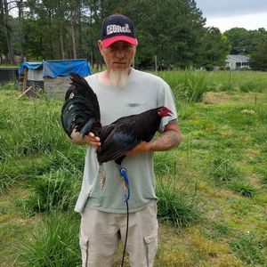 Meet your Posher, Terry